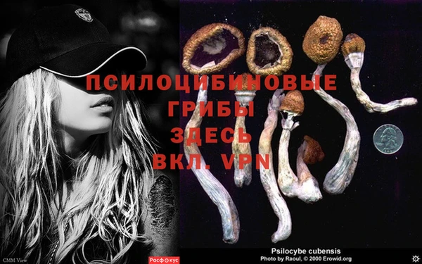 кокаин колумбия Осташков
