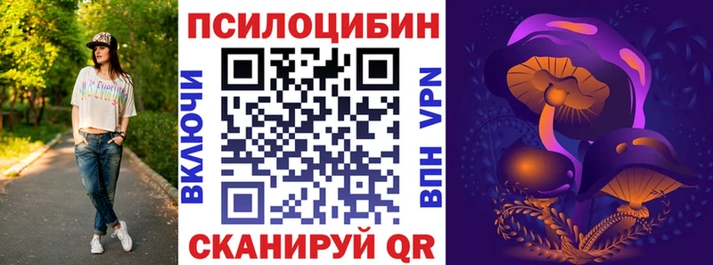 купить наркоту  Торопец  OMG рабочий сайт  Галлюциногенные грибы прущие грибы 